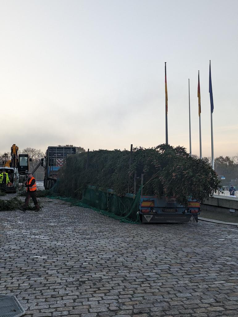 Eastsite26's tweet photo. Der Weihnachtsbaum ist am Reichstag angekommen. 
#weihnachtsbaum #reichstag #Bundestag #berlin https://t.co/EOZZLDHa8Q