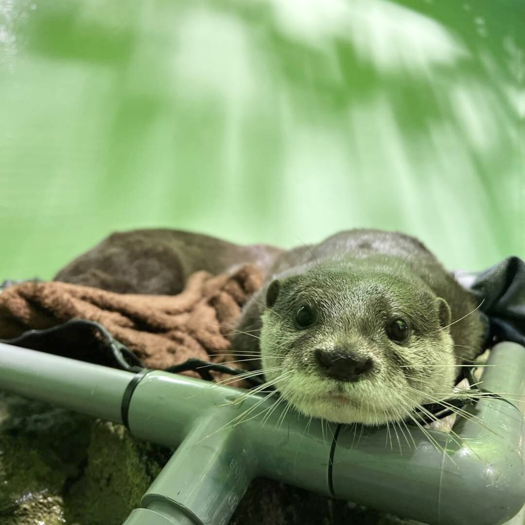 STAR_SAND_1) / Posts / X