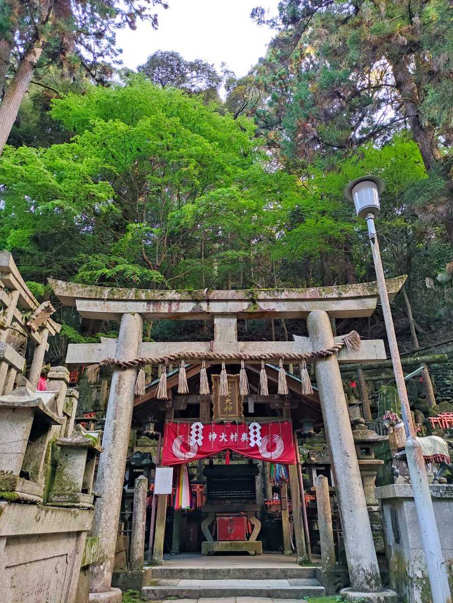 He logrado hacer un oasis en medio de todo el trabajo y he podido hacer el turismo básico que tenía pendiente. He estado un año viviendo bien cerca de Kyoto pero aún no había podido ir. Dejo fotitos para mostrar que sigo viva. Algunas parecen auténticos fondos de pantalla 🍁