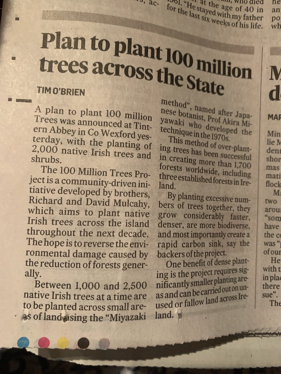 Great news ⁦@sharonfitzers⁩ this will be fantastic for the 🐝 ⁦@BlackrockH⁩ #trees #nativeirishtrees #biodiversity