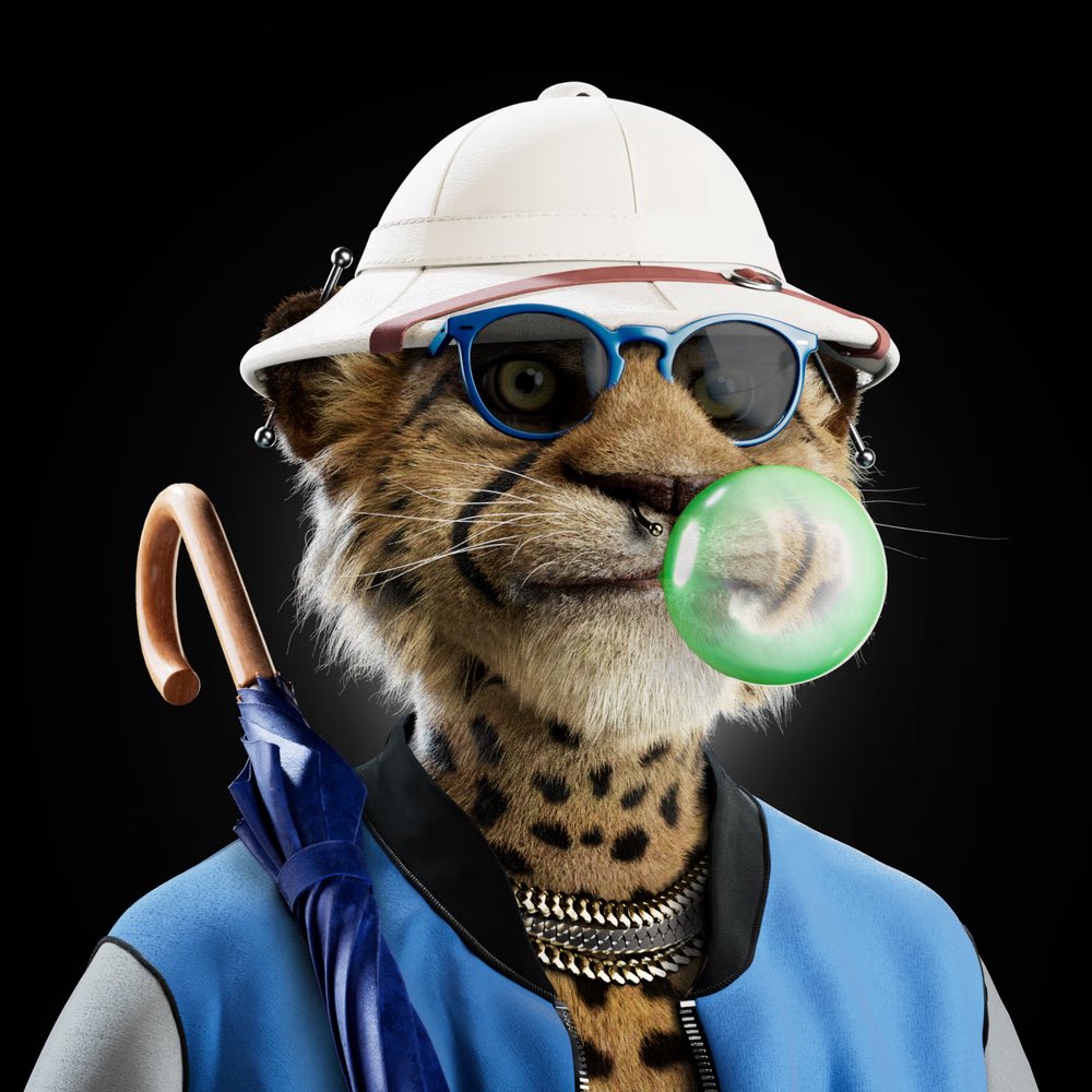 8livesio's tweet photo. ❤️♠️Big cats Series3 poker final♣️♦️

Sunday 27th November 21.00 CET
Congratulations to everyone who’s qualified.
Prizes are as follows 

1️⃣ Bigcat #3649 + $75
2️⃣ little cat #2965 + $25
3️⃣ little cat #2996 + $20
4️⃣ $25

Good luck to all that qualified 

#bigcatsnft #nftcommunity https://t.co/B4ggxc1evA