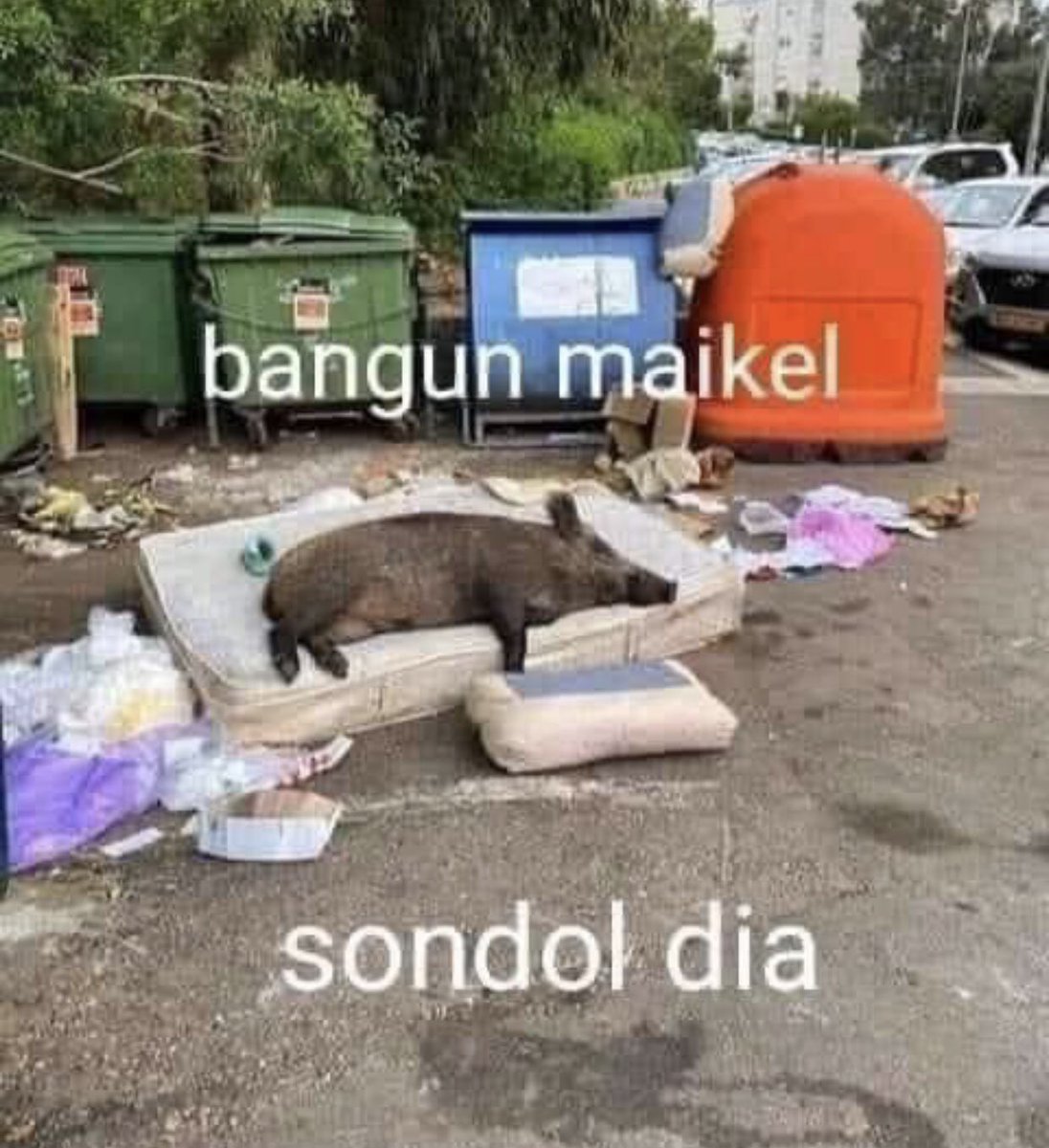 Cho_Zhariff's tweet photo. @khairizulfadhli https://t.co/sCosyrVhhU
