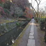 ツイートに含まれる画像