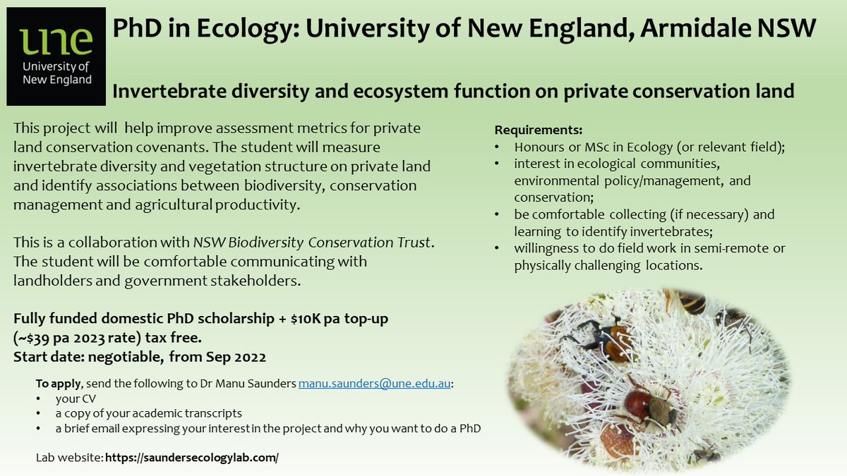 I'm still looking for a domestic (Aus/NZ) PhD candidate interested in invertebrates, conservation & ecosystem services! Generous topup, start date neg, working with private landholders and govt stakeholders saundersecologylab.com/opportunities/