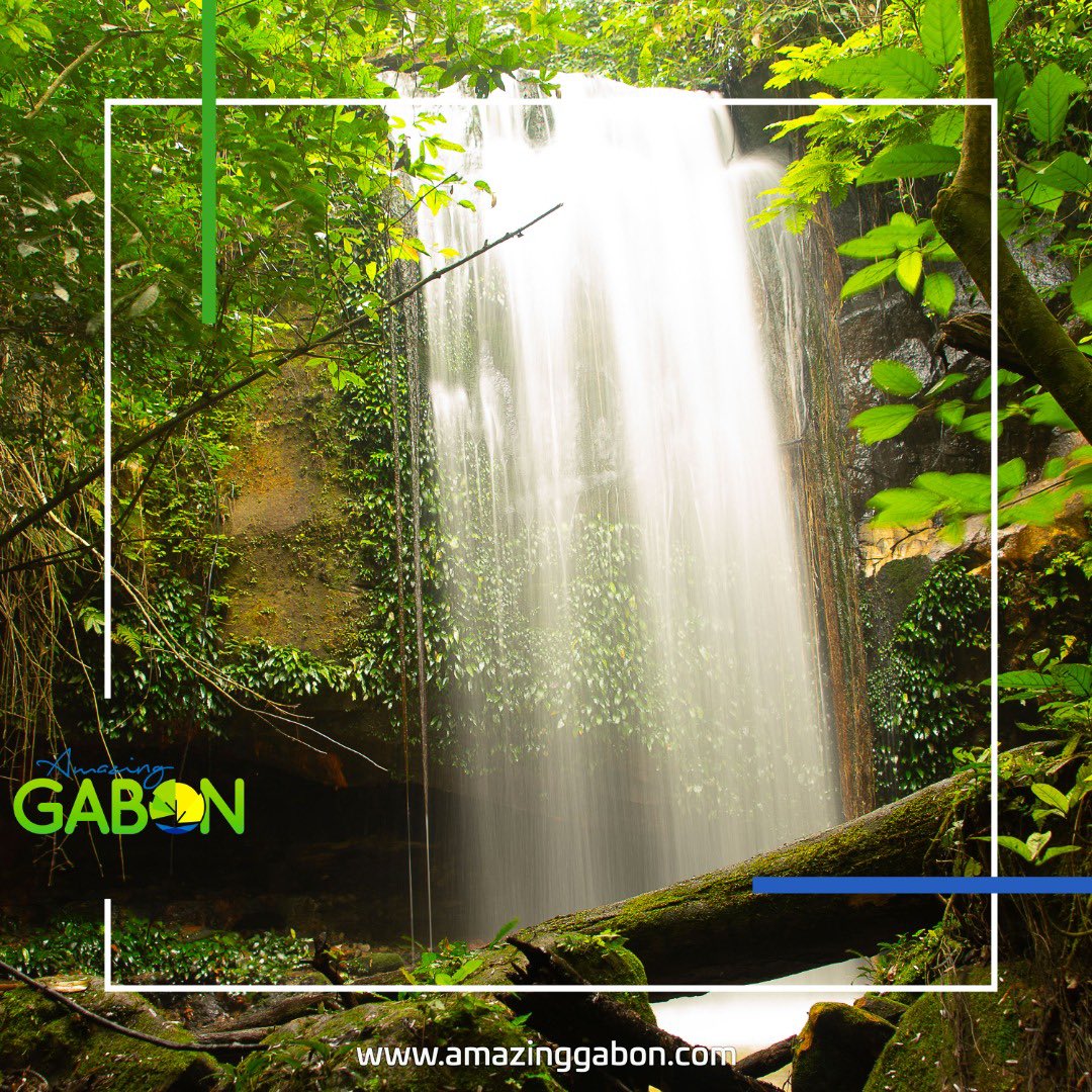 Concours National de Photographie AmazingGabon 1ere édition, photo envoyer par M. Serge Ebeza. Merci d’avoir participé #gabon #amazinggabon #lovegabon #waterfall #concoursphotoag #wildlife #chutedeau #wildlifephotography