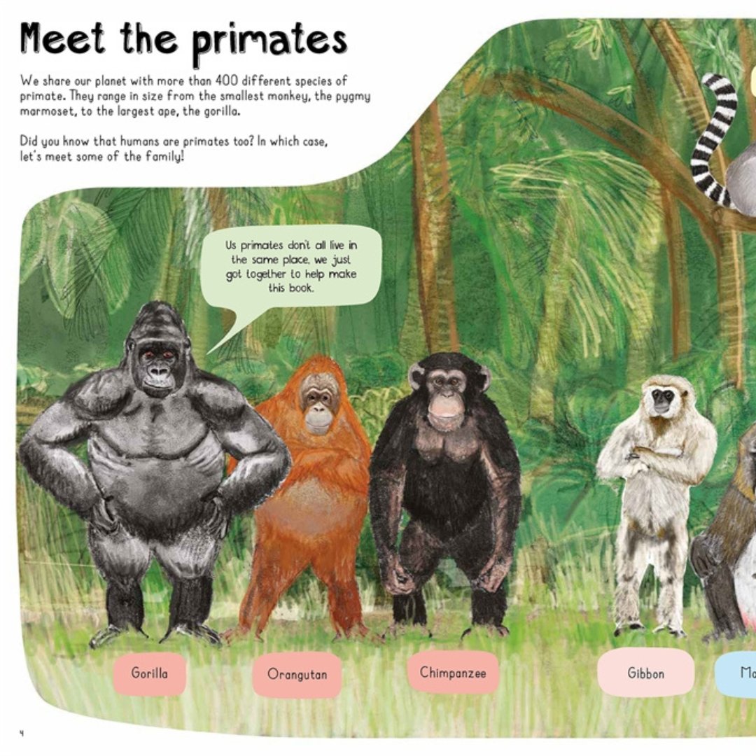HachetteKids's tweet photo. Fact Friday for #NonFictionNovember is here! This time supplying you with some wild knowledge to impress your little monkeys with. A Book of Monkeys is the newest non-fiction book from @katieviggers and is the perfect book for all animal-loving children.

https://t.co/B2APvCOOXb https://t.co/Z1Cmg576zA