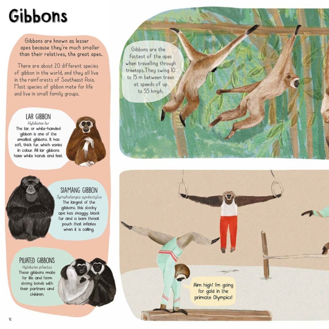 HachetteKids's tweet photo. Fact Friday for #NonFictionNovember is here! This time supplying you with some wild knowledge to impress your little monkeys with. A Book of Monkeys is the newest non-fiction book from @katieviggers and is the perfect book for all animal-loving children.

https://t.co/B2APvCOOXb https://t.co/Z1Cmg576zA