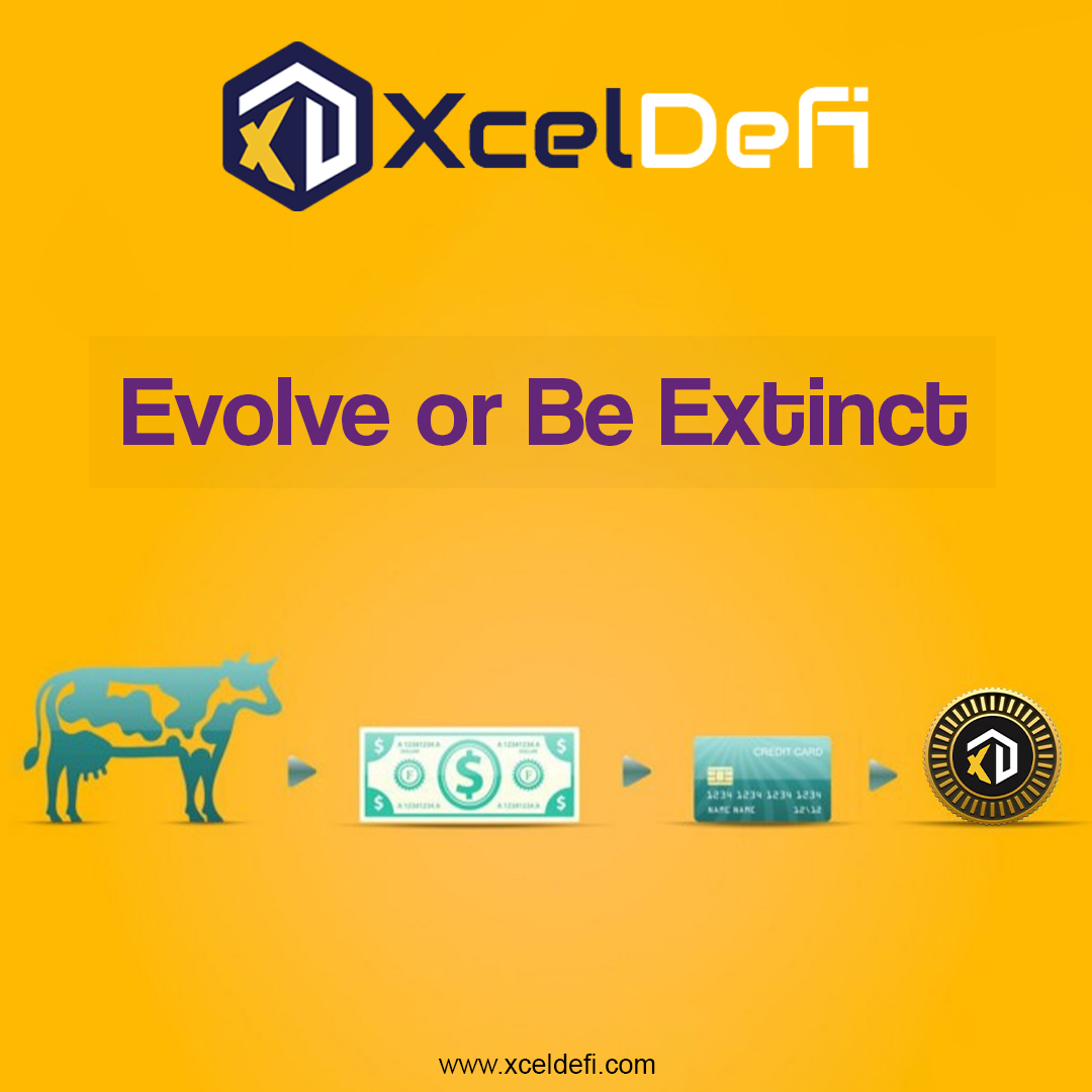 XcelPay_XLD's tweet photo. $XLD is only risky to those who don't understand it.

Evolve or Be Extinct.⛔️

#xceldefi #blockchain #Evolve #notofiat https://t.co/LdSNgzm8zZ