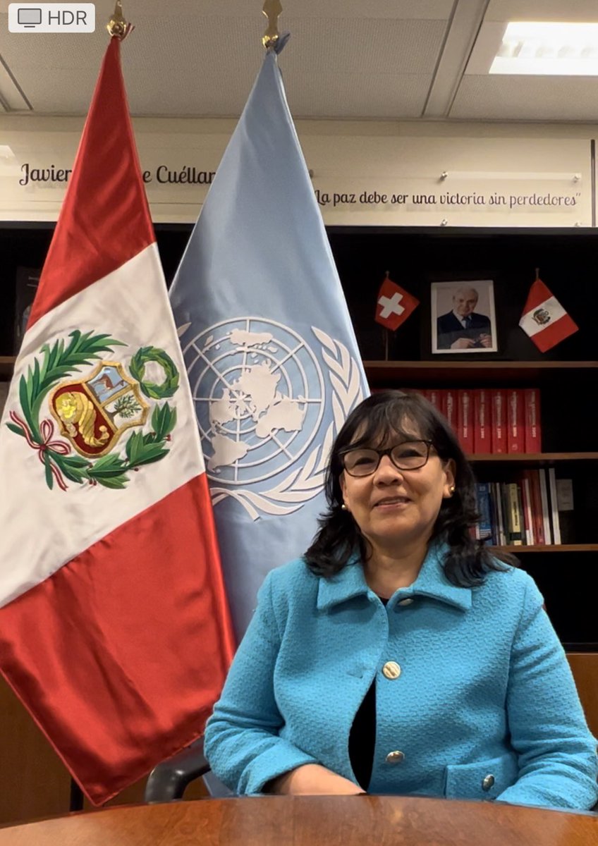PeruEnGinebra's tweet photo. Hoy, 25 de noviembre, es el Día Internacional de la Eliminación de la Violencia contra la Mujer. Romy Tincopa, Representante Permanente Alterna, comparte este mensaje: https://t.co/P2SQP7x9U4