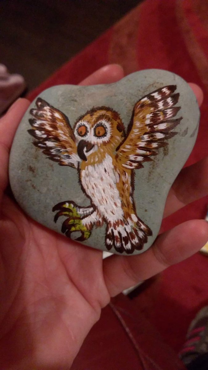 dawnhalliday's tweet photo. Owl using acrylics.
#Twitter ta woo 😂🦉
#art #acrylicpainting #paint
#artwork #artist #painting #stone #pebble #pebblestone #Illustrator #pebblepainting #rock #rockpainting #Creative #Scotland #owl #fridaymorning https://t.co/yzVlS3pBbd