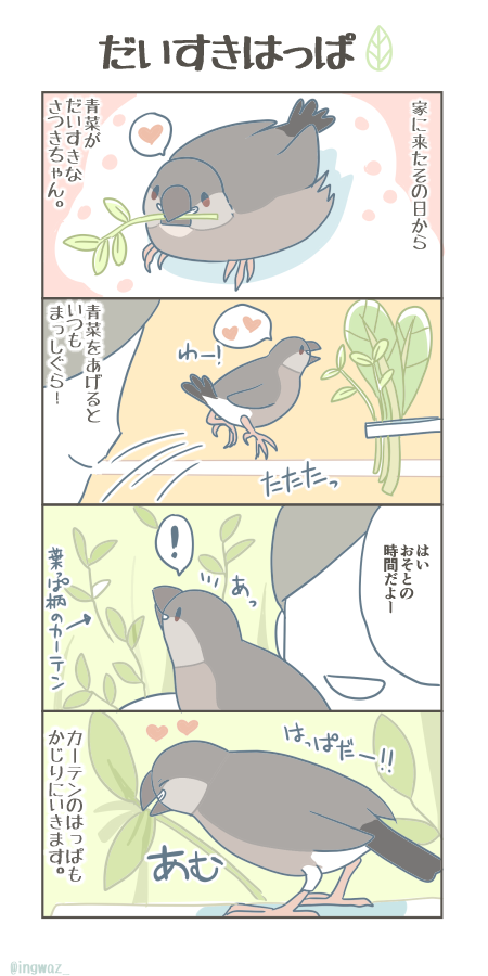 だいすきはっぱ🌿

#buncho #javasparrow #文鳥 