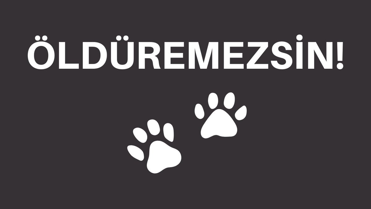 Barınaklardaki şiddet görüntüleri insanlıktan ne kadar çıktığımızın göstergesidir!!!
#konyadakatliamvar 
#Mamaktakatliamvar 

Hayvanları öldüren, onlara eziyet eden, bu katliamı görmezden gelen herkes yargılansın! 

Kampanyayı imzala!
Via <a href="/ChangeTR/">Change.org Türkiye</a> 

change.org/olduremezsin