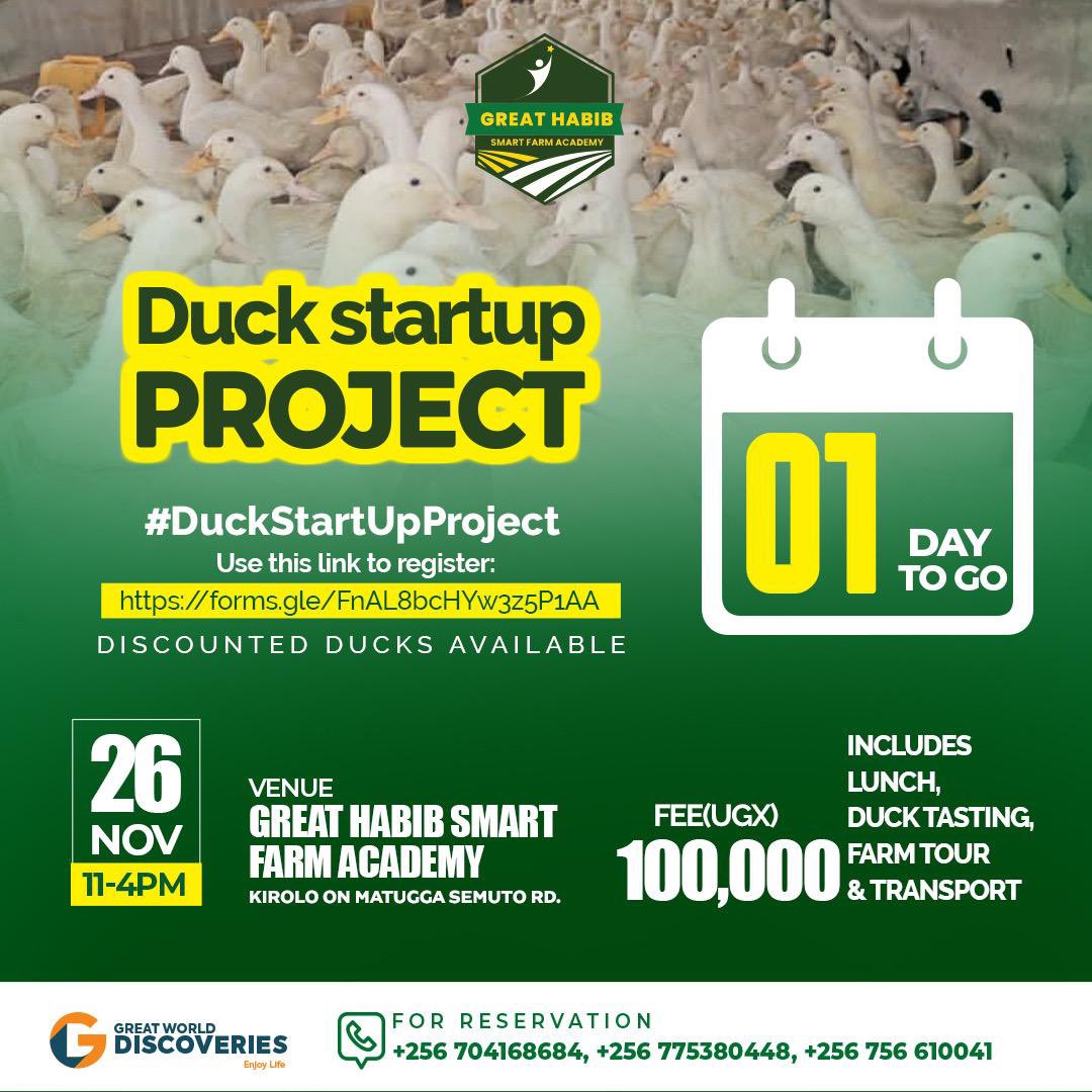 tbonnita's tweet photo. Just hours left to the awaited, #DuckStartUpProject training at @ghsfacademy. 

The main aim of the training is to help you to run your business successfully and to make a good duck farming business plan before starting.
Register to attend using the link: https://t.co/wlVV750pfG https://t.co/FHugfvcy4U