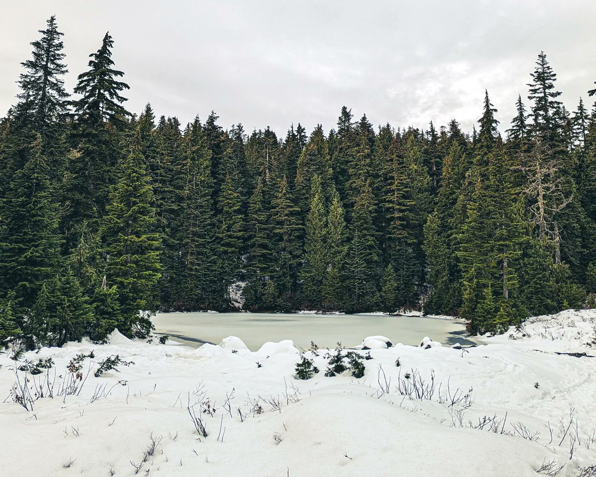 jkoolvan's tweet photo. Hello winter 2022. ❄️ #snowhike https://t.co/d7Q0fg8Kwg