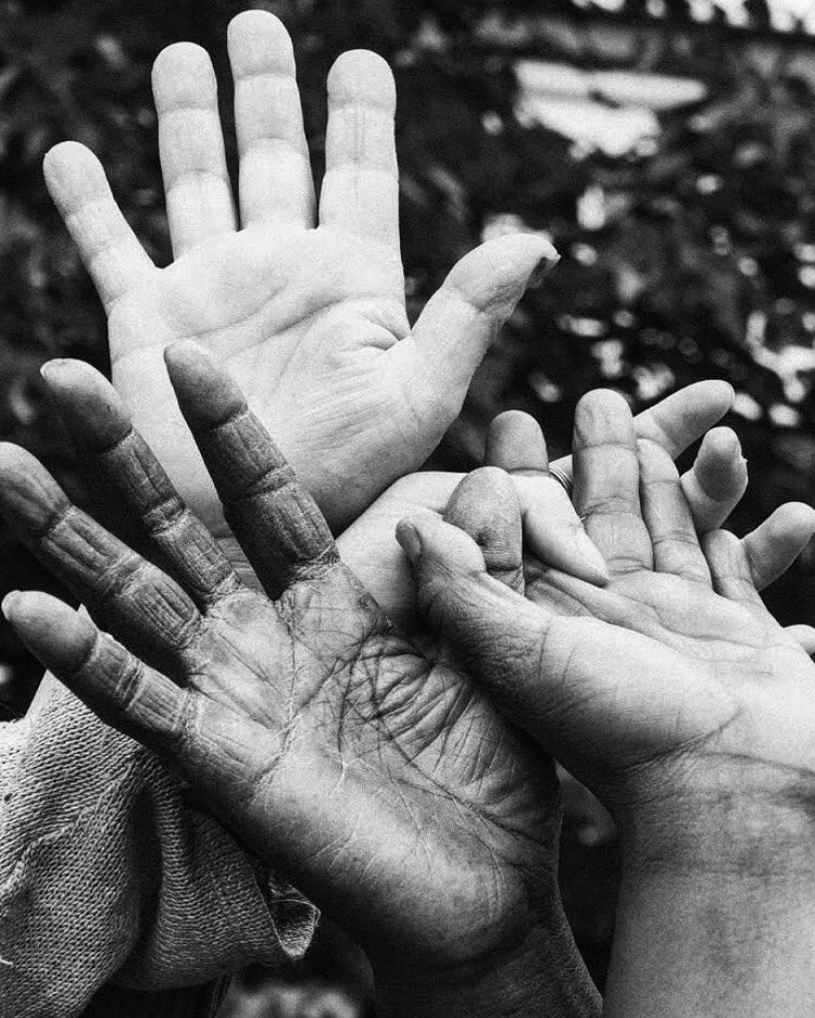Journée internationale pour l'élimination de la violence à l'égard des femmes ✊🏻 #droitsdesfemmes