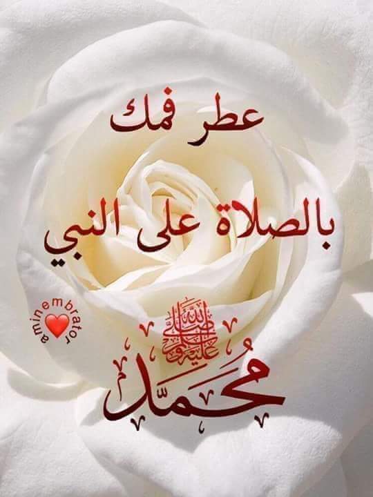 Ragab Elhoofy (@ragab_elhoofy) on Twitter photo 