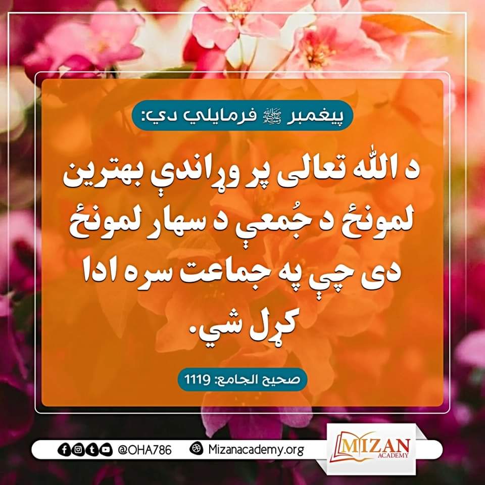 Sefatullah Amarkhil⁦⁩صفت الله امرخيل (@sefatullahamar3) on Twitter photo 