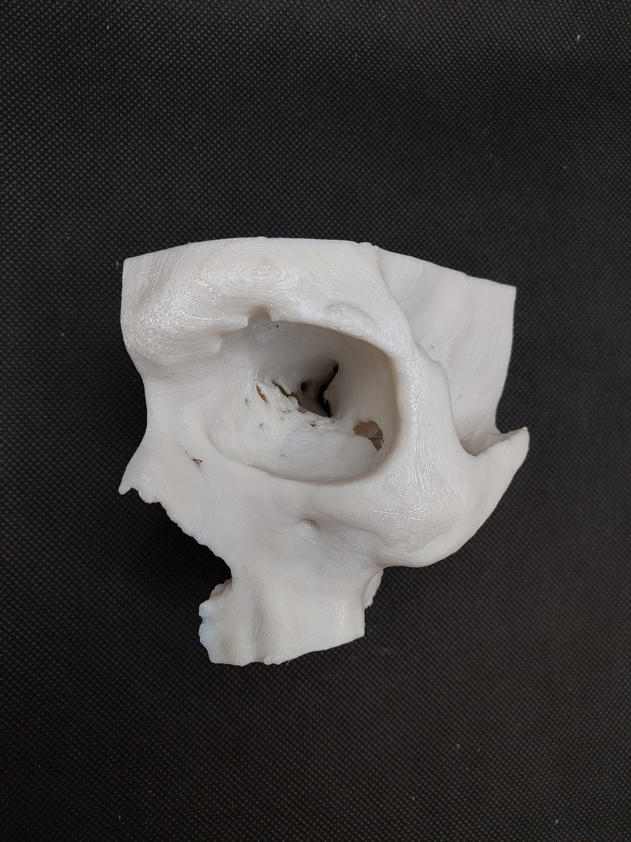 FabLab 3D Hospital Marañón tweet media