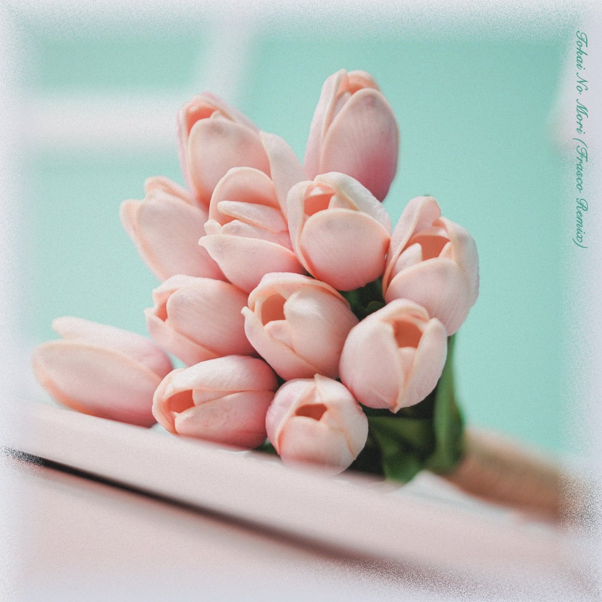 ꕁꕁꕁ ꕁꕁꕁ
CHiLi GiRL
都会の森(Frasco Remix)
ꕁꕁꕁ ꕁꕁꕁ

#Spotify 公式プレイリスト「Electropolis」に選曲されてます🌷

☑︎<a href="/SpotifyJP/">Spotify Japan</a> プレイリストをチェック 
open.spotify.com/playlist/37i9d…
☑︎ 今夜22:00～ #チリガール × #Frasco
リリース記念インスタライブ開催
instagram.com/shinobu_clg/