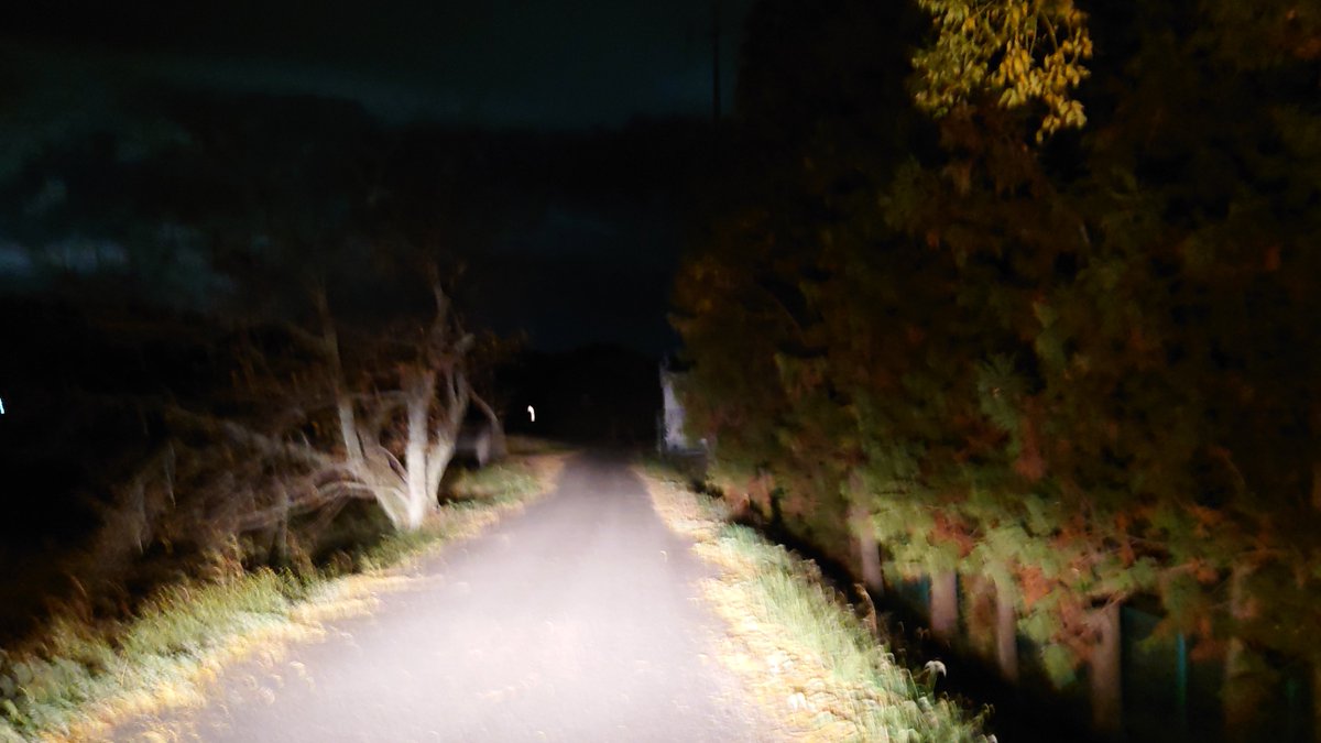 山田屋まんじゅう on Twitter: "行きはよいよい 帰りは怖い…… な、帰り道。 暗い夜道。皆さまどうぞお気を付けてお帰りください ...