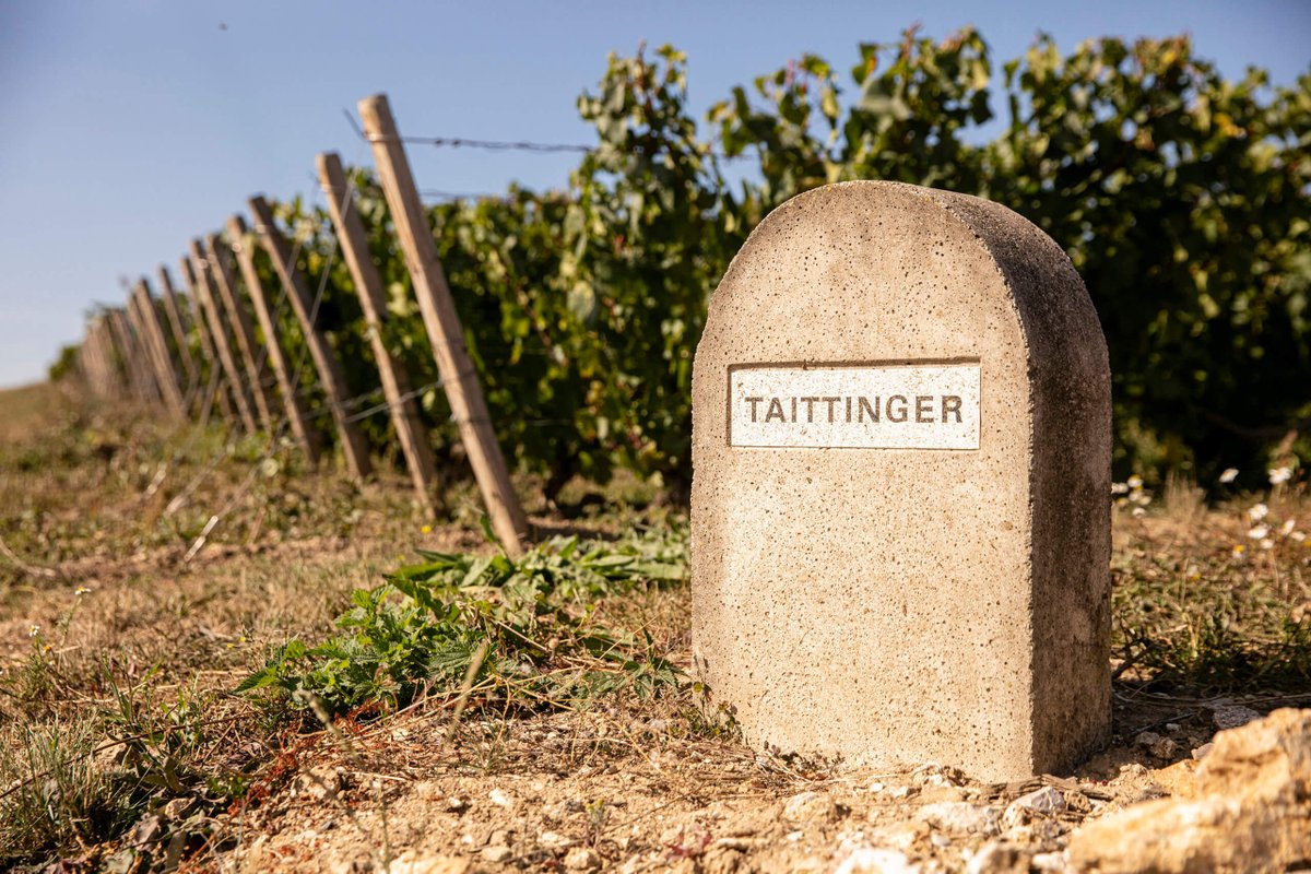 Late Night Shopping &amp; Tastings! - mailchi.mp/ecb602fab89b/n…