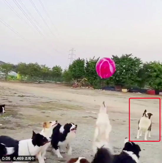dayugi7894's tweet photo. @puppiesDoglover I'm just watching https://t.co/LshD1peJqr
