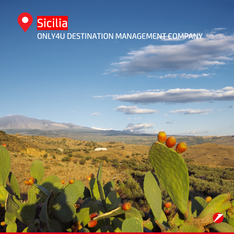 UniCredit_IT's tweet photo. #OurCommunities: esperienze uniche, storia, tradizioni e natura d’Italia sono il cuore pulsante del nostro programma #Made4Italy. Lo abbiamo raccontato sul sito del nostro partner 
@LonelyPlanet. Scopri di più: https://t.co/mEgc8caSV9