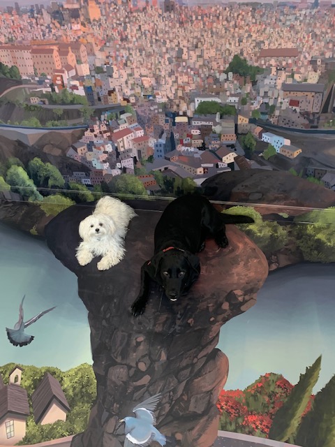 turismoconperro's tweet photo. Un nuevo plan con perros, si viajas a Toledo no dejes de visitar el Museo Iluziona donde, además de pasar un buen rato, admiten a tu mascota 🐶https://t.co/3luto92qYJ https://t.co/44tQmLfW2x
