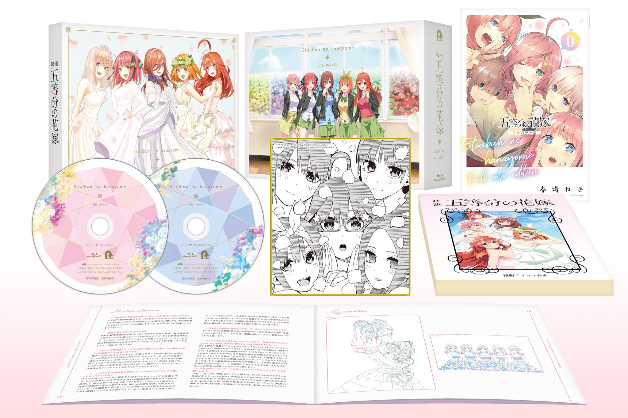 Amazon | 五等分の花嫁 色紙 コンプリートセット | 色紙