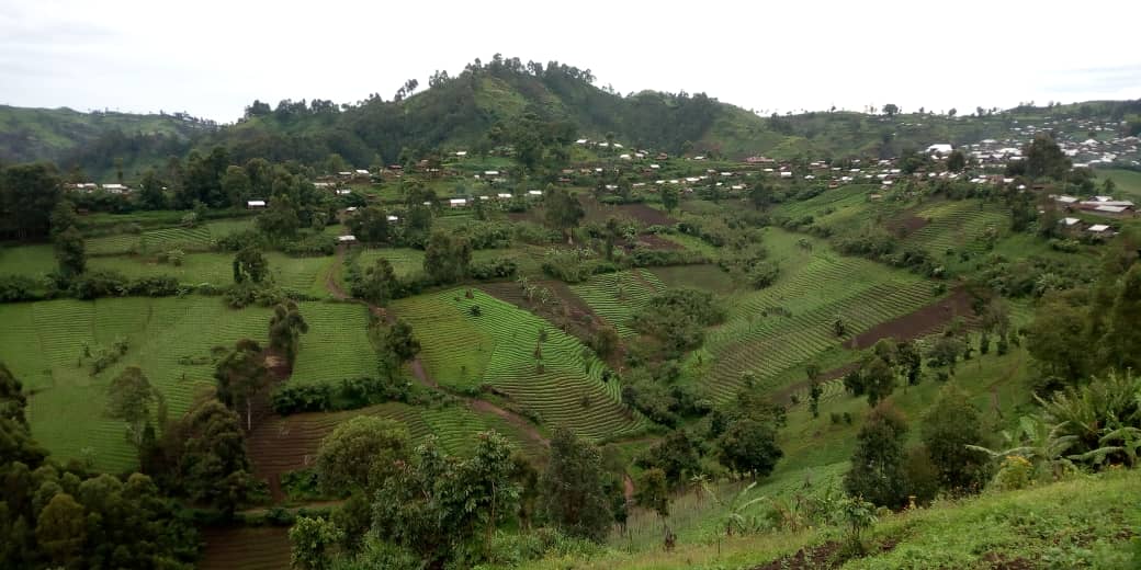 michombero's tweet photo. #RDC🇨🇩:Afrontements #FARDC-#M23, 1 jours après l'appel du cesser le feu, les combats ont repris ce vendredi matin ds la localité de #Chumba,village de #Swagara à #BWIZA, plusieurs sources affirment que d'autres #fronts sont concentrés sur la colline de #Kabarozi
A suivre, ... https://t.co/C8qdsQUqZN