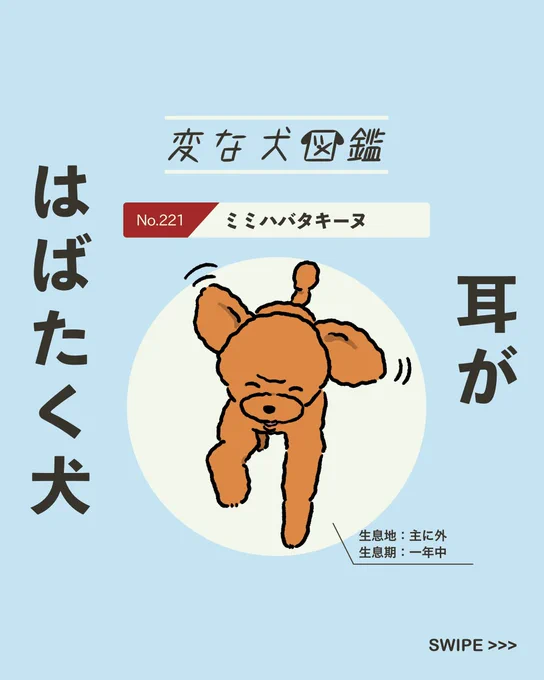 【#変な犬図鑑】
No.221 ミミハバタキーヌ
耳がはばたくあの犬です。 