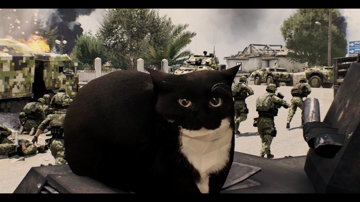 TheStrikeWyvern's tweet photo. Maxwell the Cat in the final hours of the Altis 2035 Conflict. #Arma3 https://t.co/UTBlZoCT6R