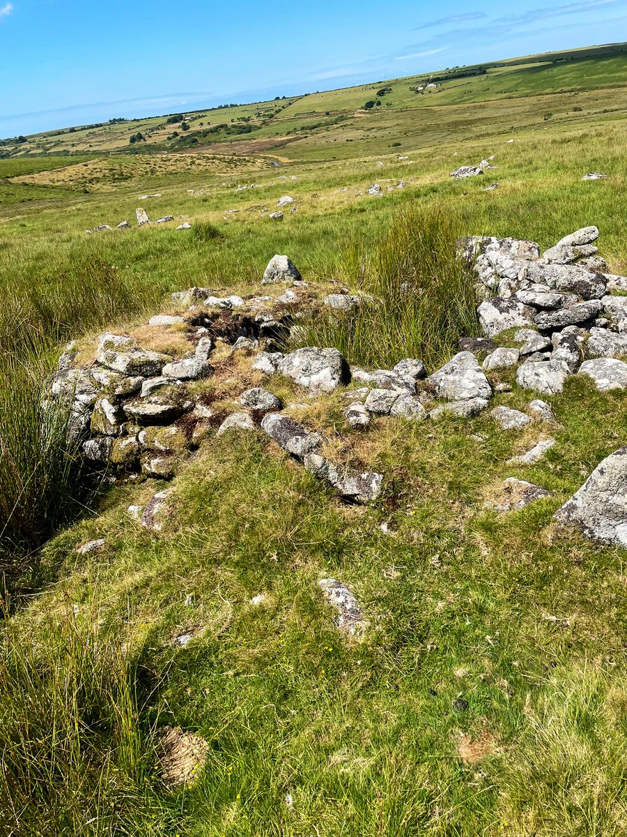 #Bodmin Moor #Cornwall #England 

Just a few more shots from July… Walking around #BodminMoor looking at #archaeology. Walking up Rough Tor and Brown Willy. #walk #walking #landscape #memories #sunnyday #prehistoric #nature