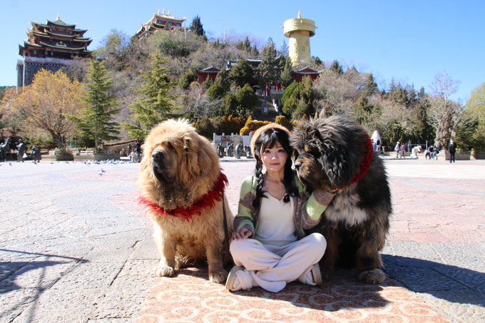 コスプレイヤー咬人猫YaorenmaoのTwitter画像53