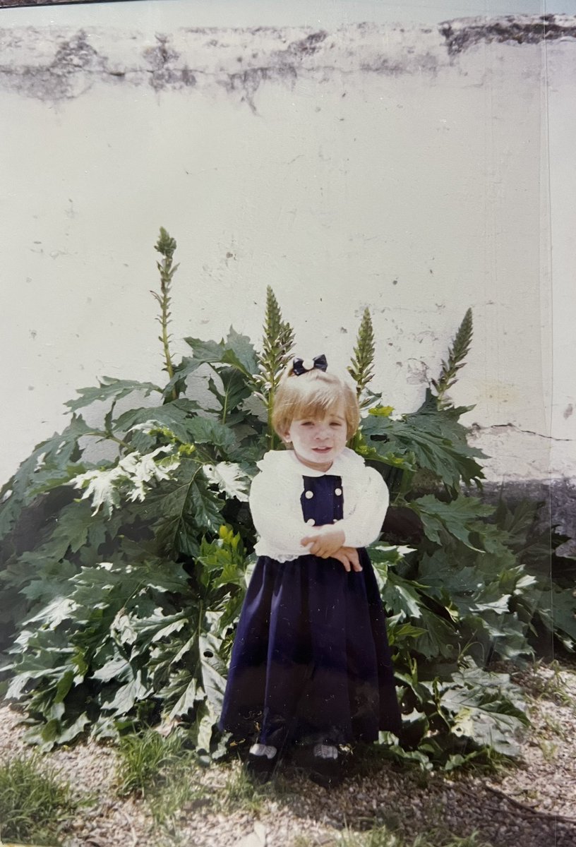 Colgadores Solidarios - María Vidal Ramos tweet media