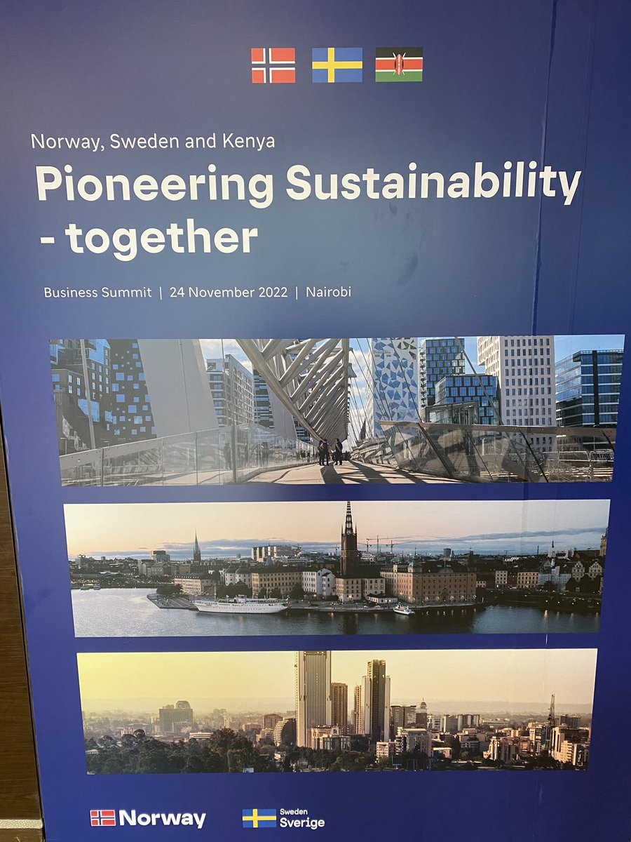 Ambassador Tone Tinnes tweet media