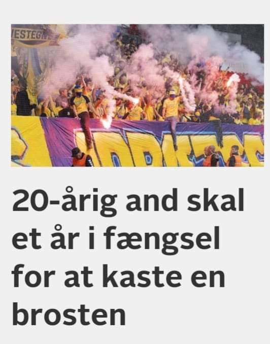 FULDSTÆNDIG VANVITTIGT! En gennemsnitlig and bliver altså kun 5-10 år