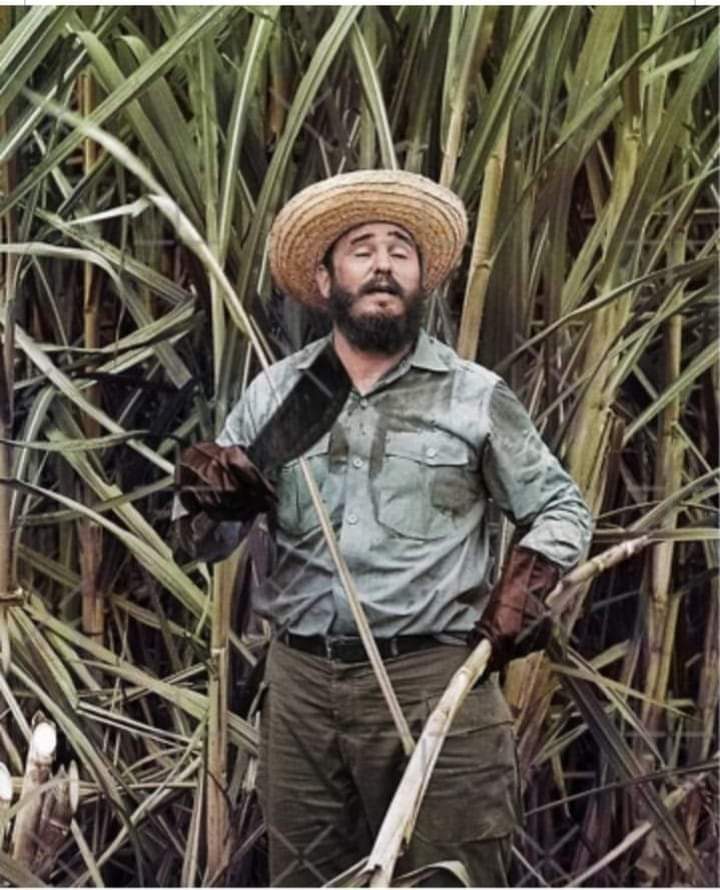 RafaelAnap's tweet photo. Fidel y los campesinos. #Cuba #FidelPorSiempre  #AnapCuba https://t.co/KKuglyvznK
