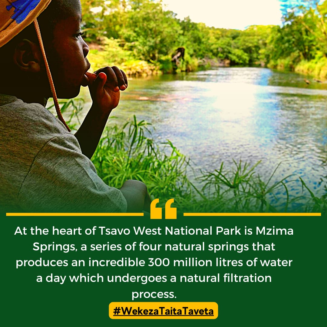 TaitaTaveta006's tweet photo. #WekezaTaitaTaveta https://t.co/sCN6mtToNm