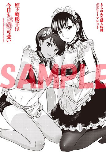「特典とらのあな・【限定版】A3タペストリー・4Pリーフレット特典メロンブックス・」|安田剛助のイラスト