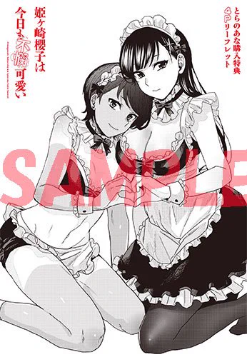 特典とらのあな・【限定版】A3タペストリー・4Pリーフレット特典メロンブックス・【限定版】A3タペストリー・4Pリーフレット 