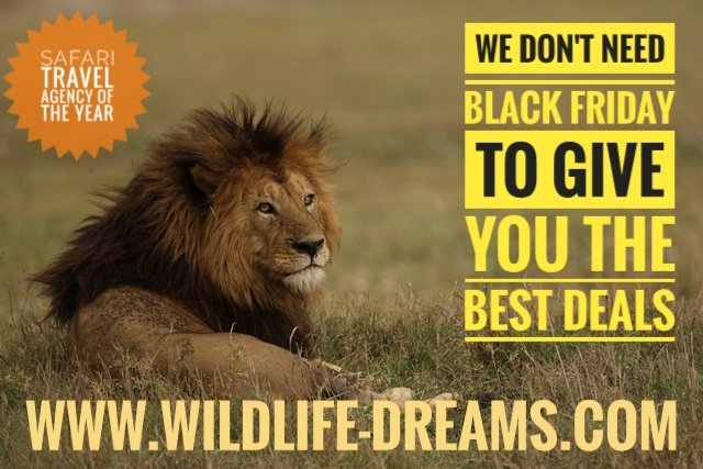 #wildlifedreams 🐾

Safari Travel Agency of the Year

 Bringing you closer to #wildlife

Let us make your Dreams your true 

wildlife-dreams.com

Info@wildlife-dreams.com

#safari #wildlifeholidays #travelagent #wildlifehides #wildlifephotography  #big5