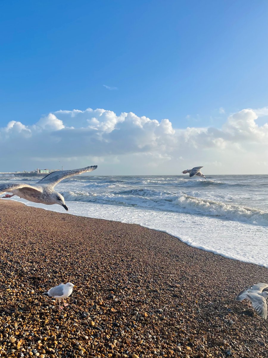 ninsalsaadi's tweet image. Enjoyed being in Brighton for the #VSASM22 over the past couple of days. 

Grateful for the opportunity to present our work on community teaching &amp;amp;referrals to diabetic foot services and on dermal substitutes 🦶🏽@sathNHS 

Now back to work today for a weekend on call 🫣🥹☺️