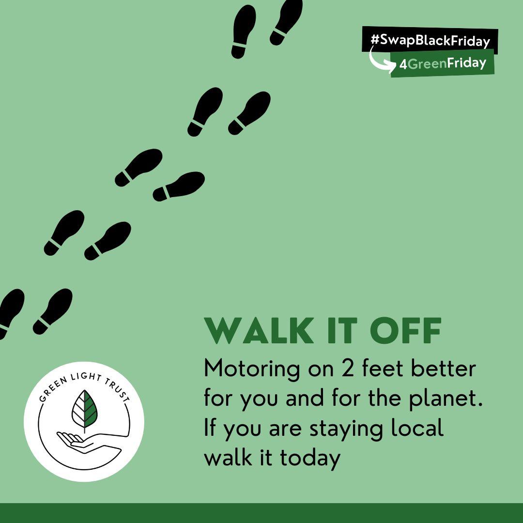 Green Light Trust tweet media