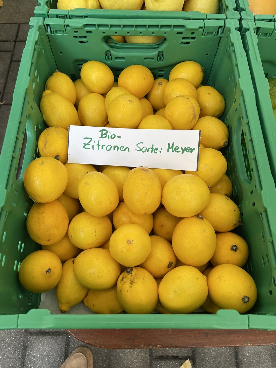 chritam's tweet photo. Zeigs nur 🍋💛 #Kutschkermarkt #DerBauer https://t.co/Wa6t3QponM