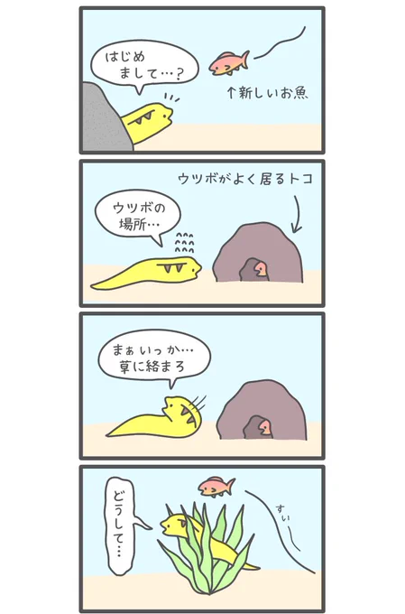 魚からのプレッシャーを受けるウツボ 