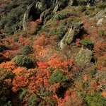 小豆島国際ホテル【公式】恋人の聖地エンジェルロードに一番近い宿★全室オーシャンビューのツイート画像