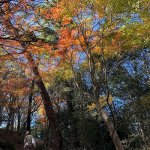 小豆島国際ホテル【公式】恋人の聖地エンジェルロードに一番近い宿★全室オーシャンビューのツイート画像