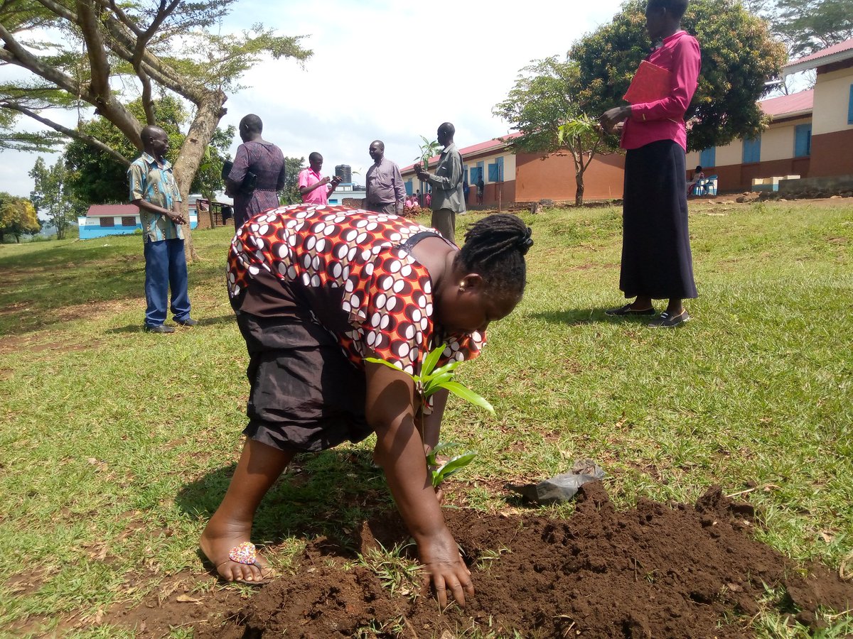 ayowecca_uganda's tweet photo. Fruit trees produce fresh oxygen, giving you & your family cleaner air to breathe, as well as encouraging wildlife to flourish #COP27 #COP15 #ReFi #Web3 #FridaysForFuture #ImplementPromisesNow #LossAndDamage #PeopleNotProfit #ClimateAction #ClimateJustice #climateStrike #Climate https://t.co/6KQc7GNNPN