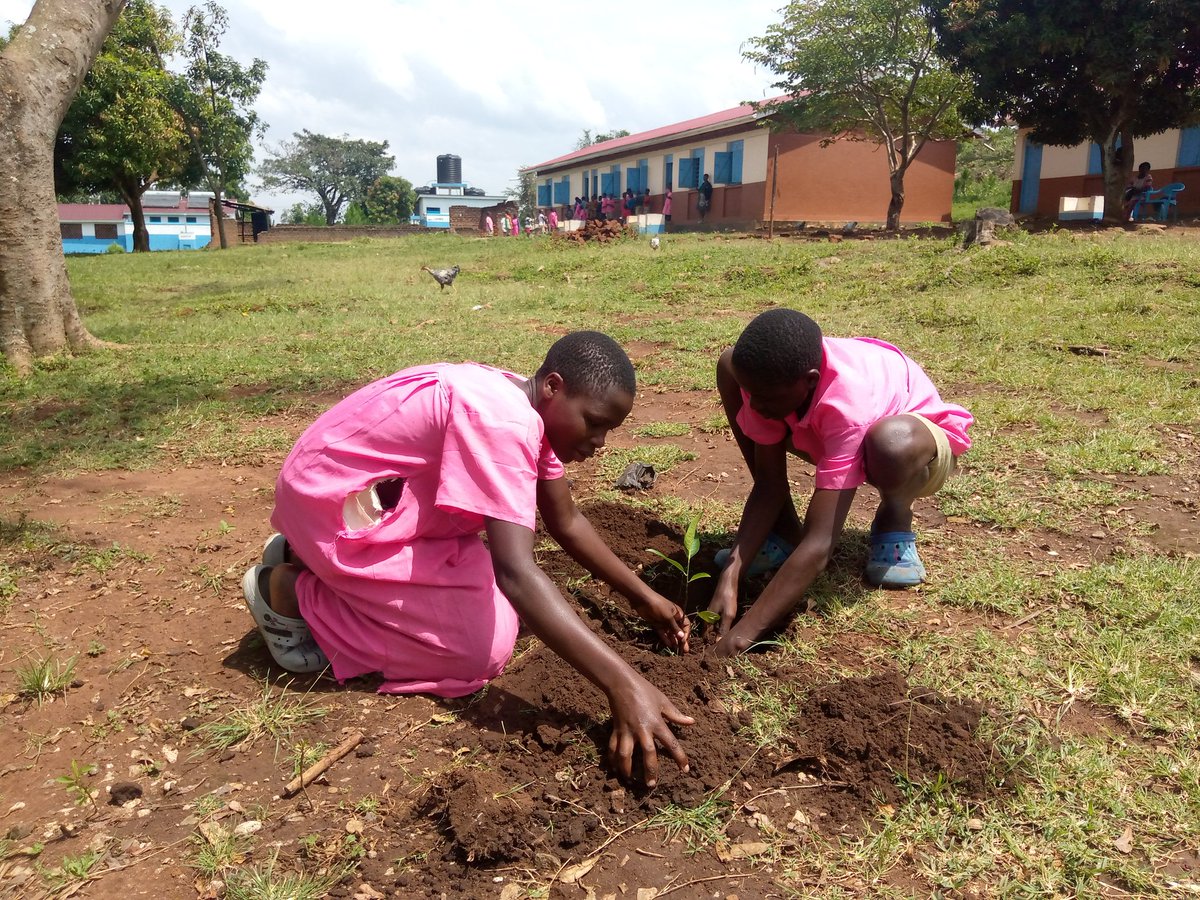 ayowecca_uganda's tweet photo. Fruit trees produce fresh oxygen, giving you & your family cleaner air to breathe, as well as encouraging wildlife to flourish #COP27 #COP15 #ReFi #Web3 #FridaysForFuture #ImplementPromisesNow #LossAndDamage #PeopleNotProfit #ClimateAction #ClimateJustice #climateStrike #Climate https://t.co/6KQc7GNNPN